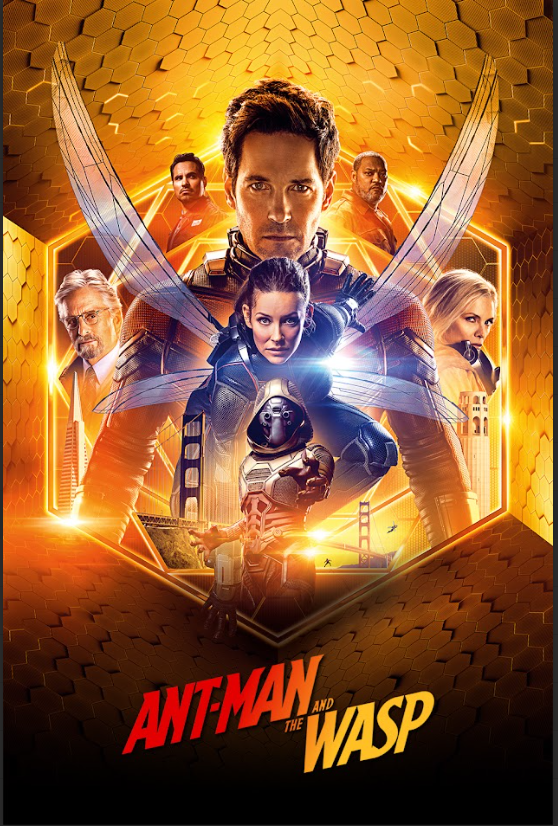 Ant-Man and the Wasp (2018) Movie Poster - 24x36 | Marvel | Superhero Action Art - PosterFire.com