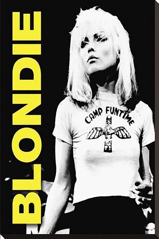 Blondie (3) 24x36 Poster Rock Band Debbie Harry Vintage Artwork Iconic Retro - PosterFire.com