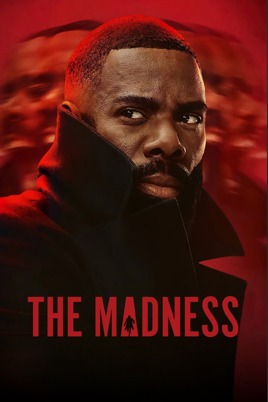 The Madness 2024 Poster 24x36 - Horror Thriller Psychological Horror Suspense - PosterFire.com