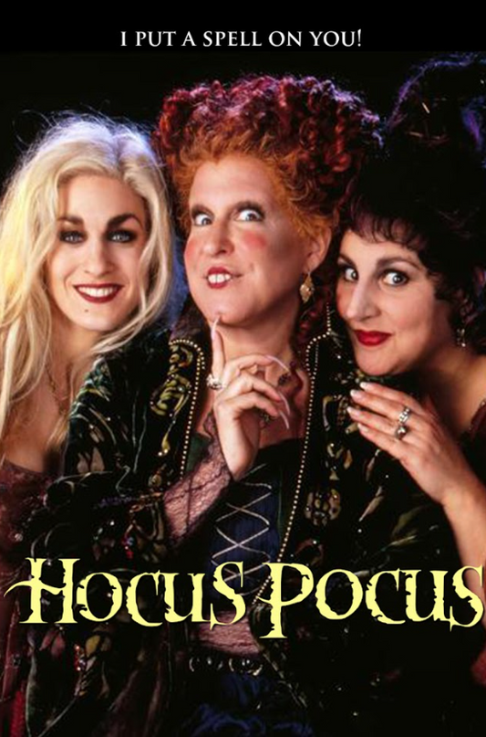 Hocus Pocus (1993) Poster 24x36 – Beloved Halloween Movie, Sanderson Sisters - PosterFire.com