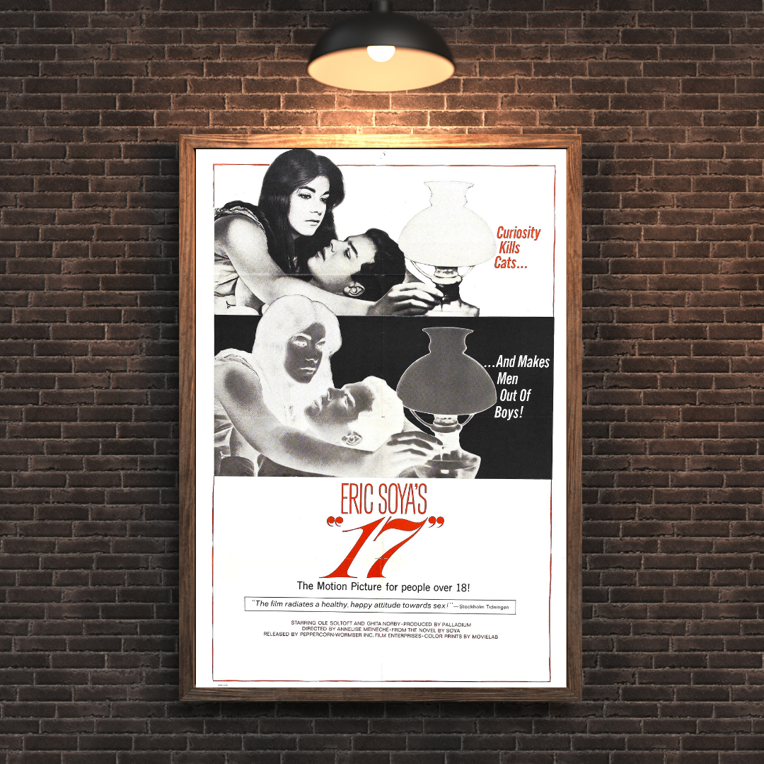 Coming of Age: 17 Movie Poster - Rare Drama Collectible Art Print