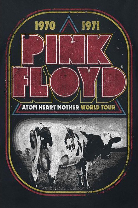 Pink Floyd Music Poster, Classic Rock Icons, Vintage 70s Concert Artwork - PosterFire.com