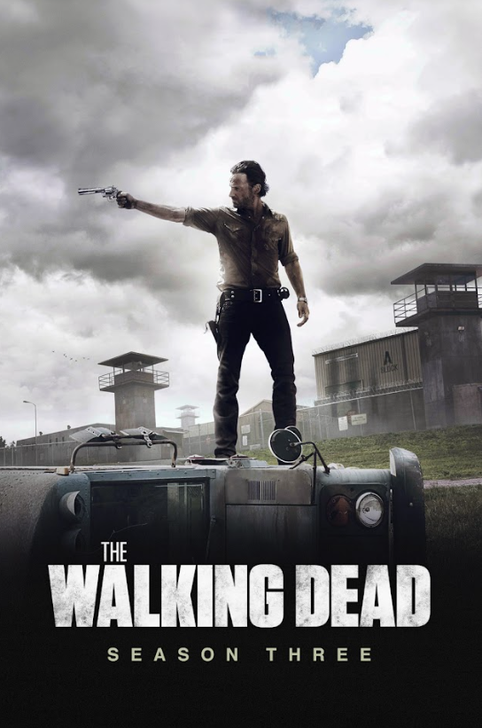 The Walking Dead 2010 Season 3 Poster 24x36 - Zombie Apocalypse Rick Grimes Surv - PosterFire.com