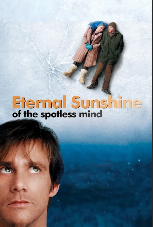 2004 Eternal Sunshine of the Spotless Mind Movie Poster 24x36 Sci-Fi Romance