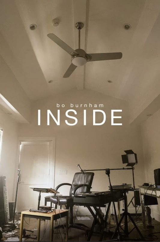 Bo Burnham Inside (2021) 24x36 Poster Comedy Special Retro Artwork Unique