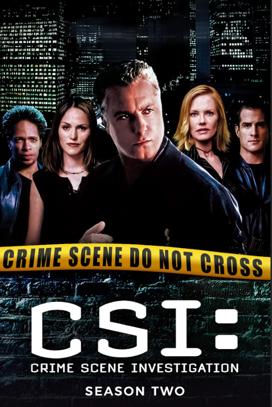 CSI: Crime Scene Investigation 2000 Poster 24x36 - Season 2, Intriguing Forensic