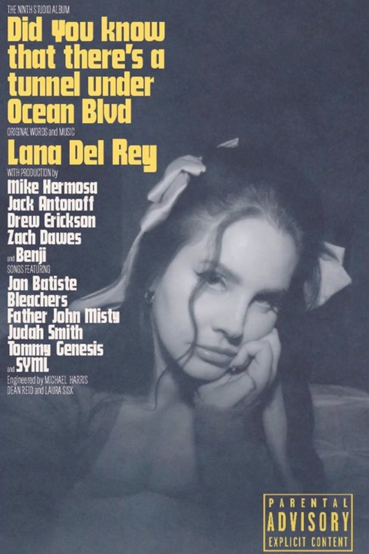 Lana Del Rey Poster 24x36 Singer-Songwriter with Vintage Glamour & Melancholic - PosterFire.com