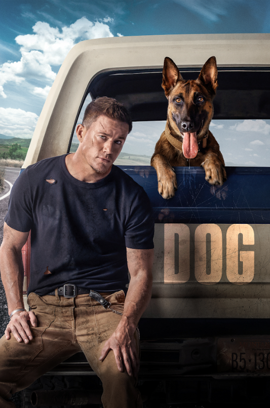 Dog 2022 Poster 24x36 - Comedy Drama Channing Tatum Adventure Film - PosterFire.com