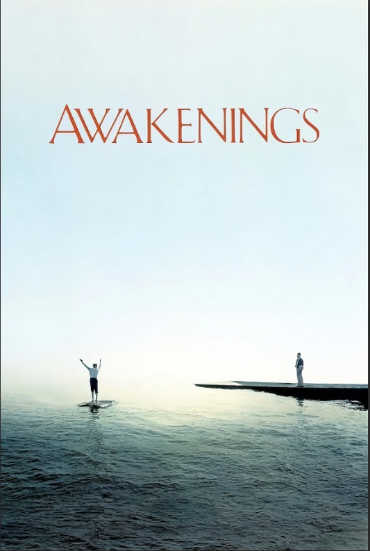 Awakenings (1990) Poster - 24x36 | Robin Williams & Robert De Niro | Inspiration - PosterFire.com