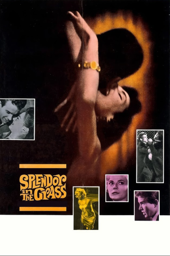 Splendor in the Grass 1961 Movie Poster 24x36 - Classic Drama, Natalie Wood - PosterFire.com