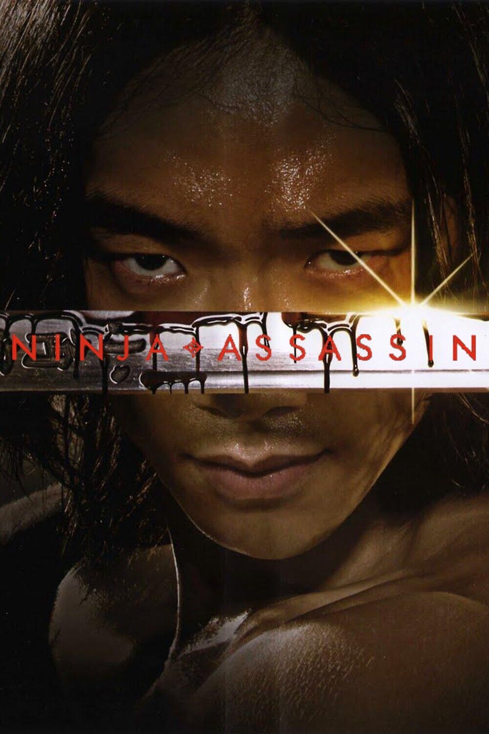 Ninja Assassin 2009 24x36 Poster Action Martial Arts Thriller Film - PosterFire.com