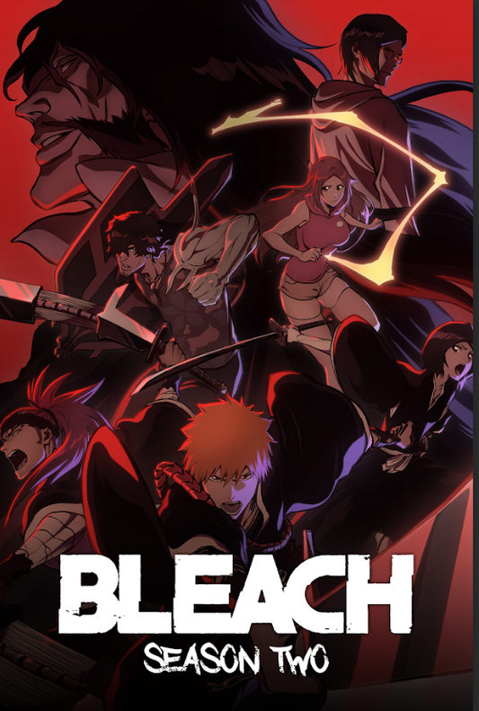 Bleach 2004 Season 2 Poster 24x36 | Anime Action Adventure | Soul Reaper Battles - PosterFire.com