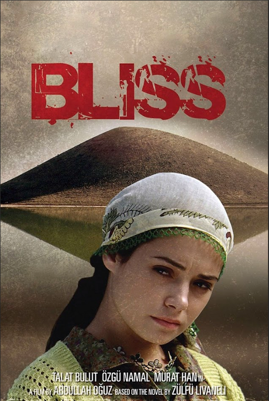 Bliss (2007) 24x36 Poster Drama Romance Retro Film Classic Artwork - PosterFire.com