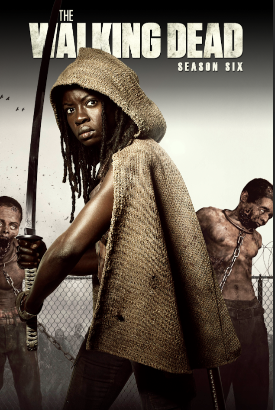 The Walking Dead 2010 Poster 24x36 TV Series Season 6 Zombie Apocalypse Thriller - PosterFire.com