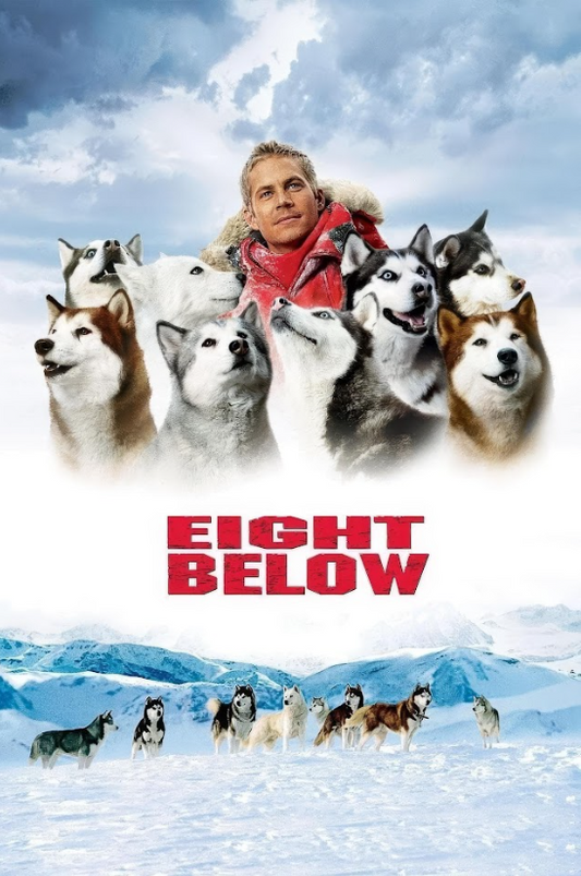 2006 Eight Below Movie Poster 24x36 Adventure Drama Snow Dogs - PosterFire.com