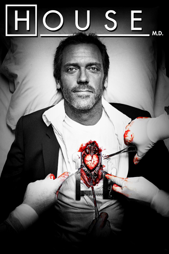 House 2004 Poster 24x36 Hugh Laurie Dr Gregory House Iconic Medical Drama