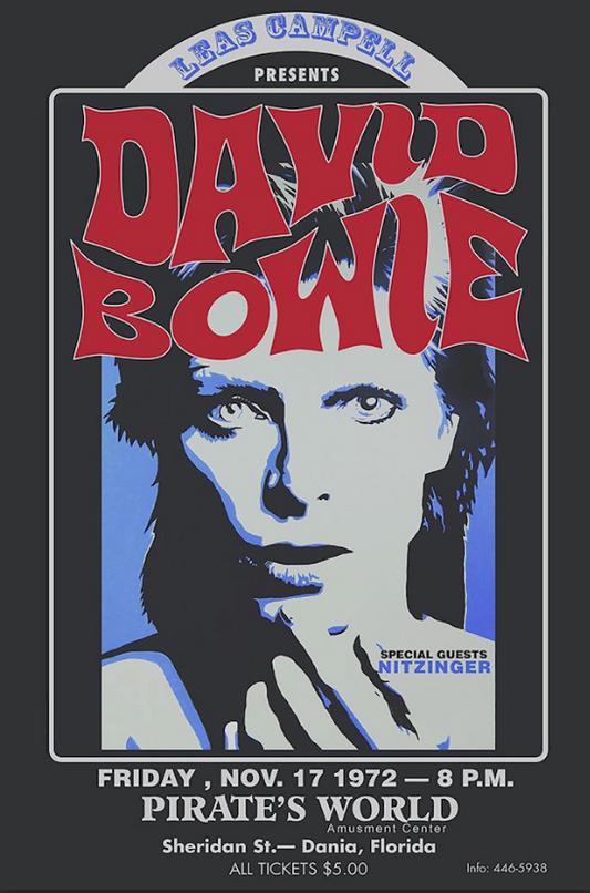 David Bowie 24x36 Poster - Legendary Musician Glam Rock Icon Art Print - PosterFire.com