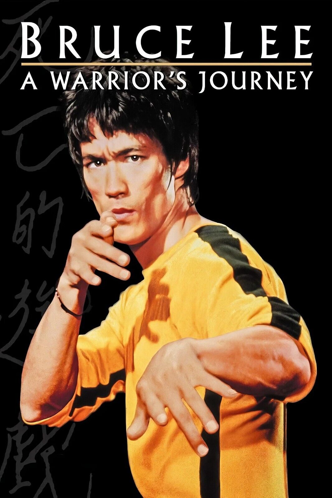 Bruce Lee: A Warrior's Journey Poster 24x36 Iconic Martial Artist Documentary 4k