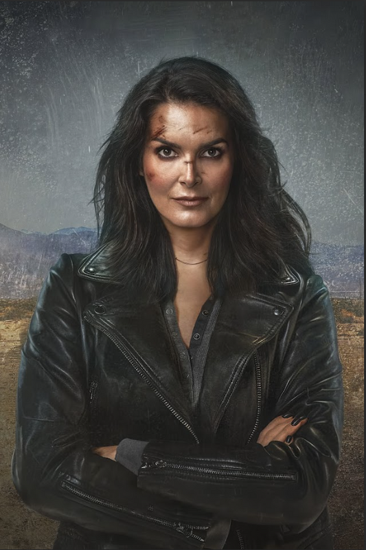 Buried in Barstow 2022 Poster 24x36 - Angie Harmon , Crime Drama Poster Hazel