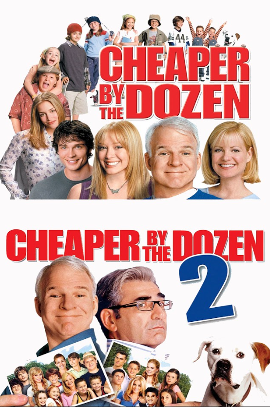 Cheaper by the Dozen 2003 Poster 24x36 - Steve Martin, Family Comedy Art - PosterFire.com