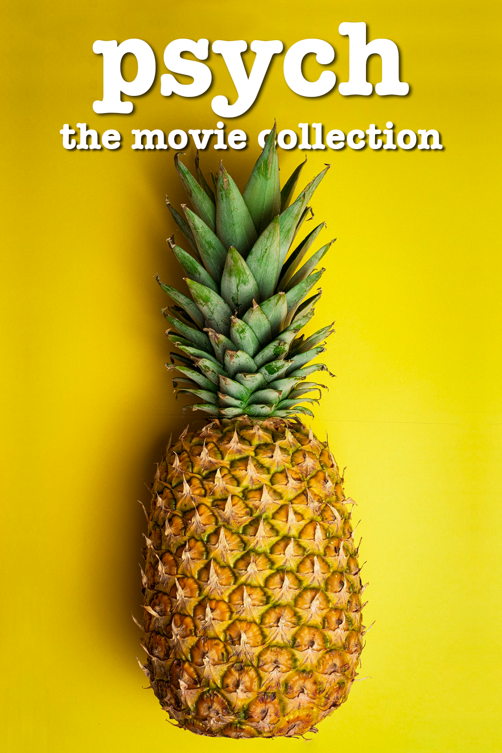 Psych Movie Collection - Poster 24x36 Comedy Mystery - Shawn & Gus Adventure - PosterFire.com