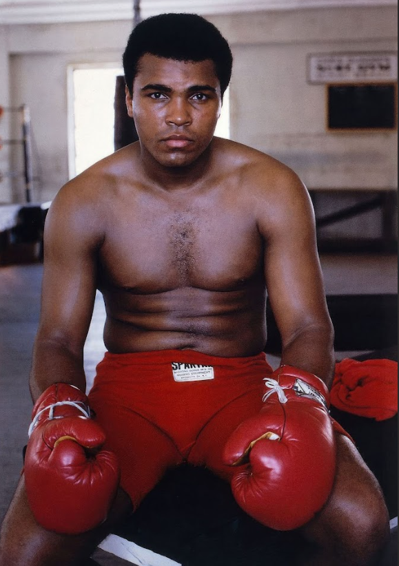 Muhammad Ali Poster 24x36 - Legendary Boxer, The Greatest, Icon of Strength - PosterFire.com