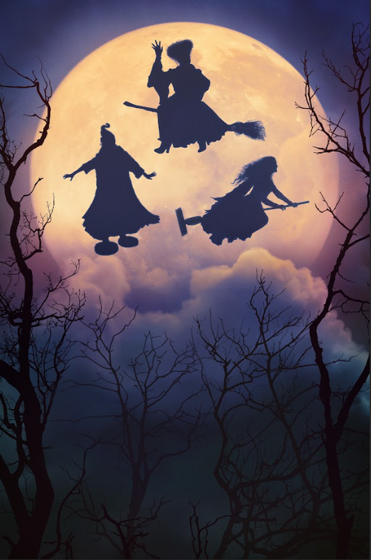 Hocus Pocus 2 2022 Movie Poster 24x36 - Spooky Comedy Return of the Sanderson - PosterFire.com