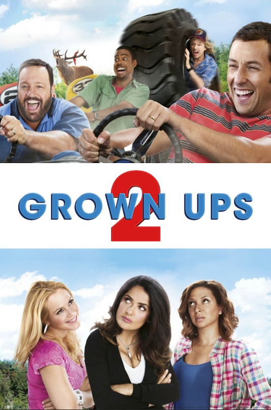 Grown Ups 2 2013 Poster 24x36 - Adam Sandler Comedy Family Reunion Hilarious - PosterFire.com