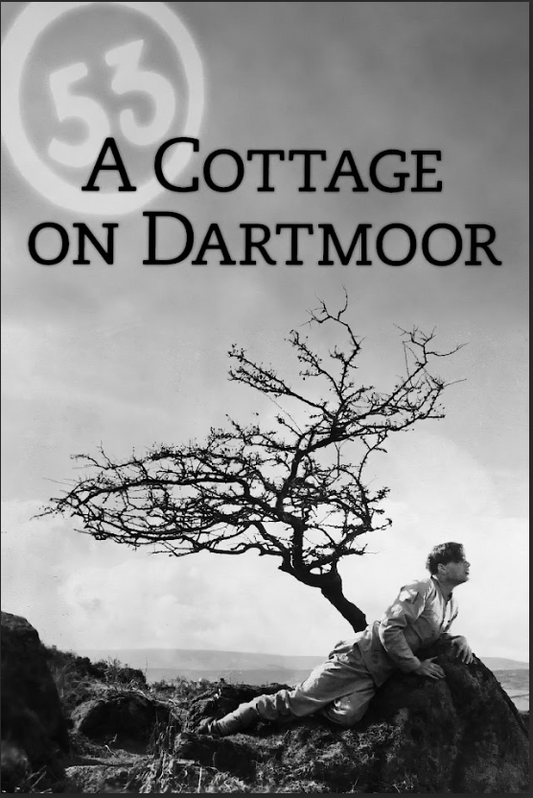 A Cottage on Dartmoor (1929) 24x36 Movie Poster - Silent Film Classic, Rare Art - PosterFire.com