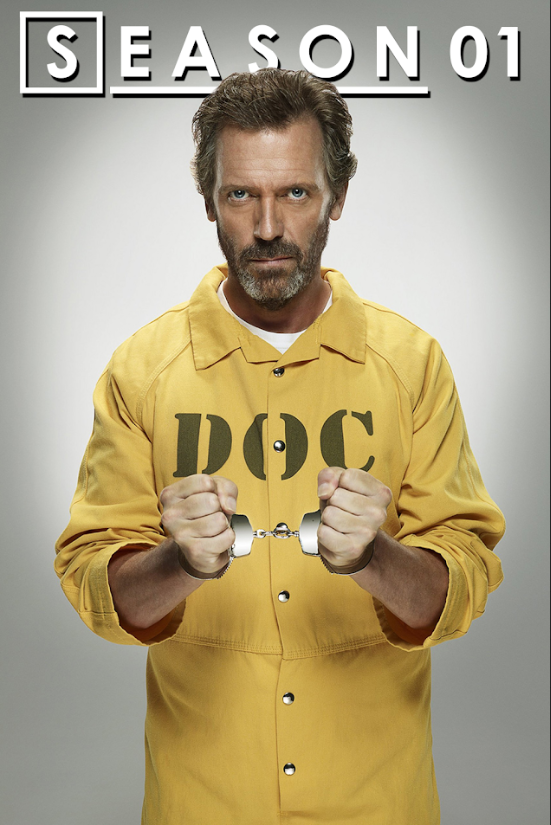 House Season 1 Poster 24x36 - 2004 Medical Drama, Hugh Laurie, Diagnostic - PosterFire.com