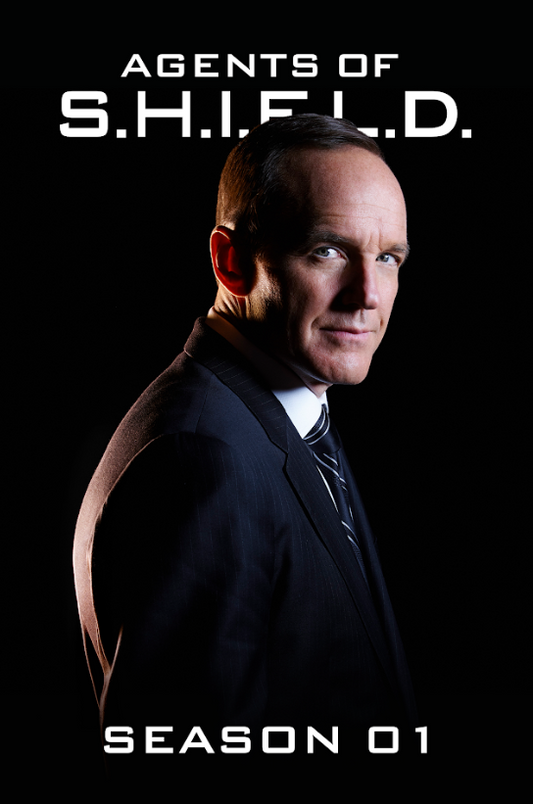 Marvel's Agents of S.H.I.E.L.D. 2013 Poster 24x36 - Season 1, Exciting Marvel - PosterFire.com