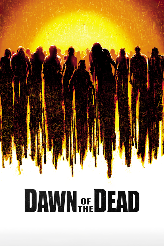 Dawn of the Dead (2004) Movie Poster 24x36 Zombie Horror, Classic Remake, Action