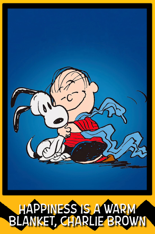 Happiness Is a Warm Blanket, Charlie Brown 2011 Movie Poster 24x36 - Peanuts - PosterFire.com