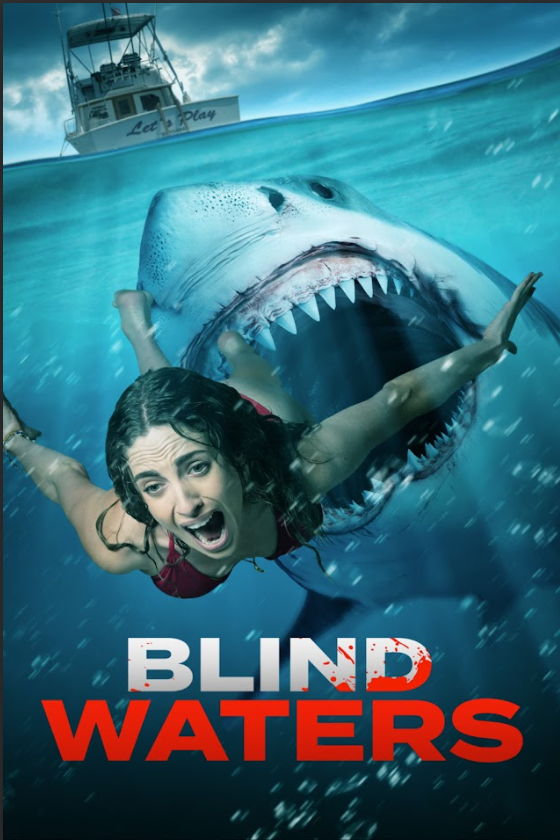 Blind Waters (2024) 24x36 Poster Thriller Mystery New Release Retro Artwork - PosterFire.com