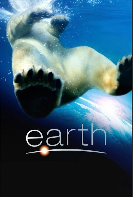 Earth (2007) Movie Poster 24x36 Stunning Nature Documentary, Breathtaking - PosterFire.com