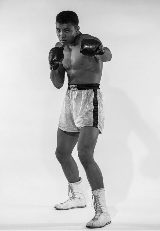 Muhammad Ali Boxing Poster 24x36 - The Greatest, Iconic Champion, Boxing Legend - PosterFire.com